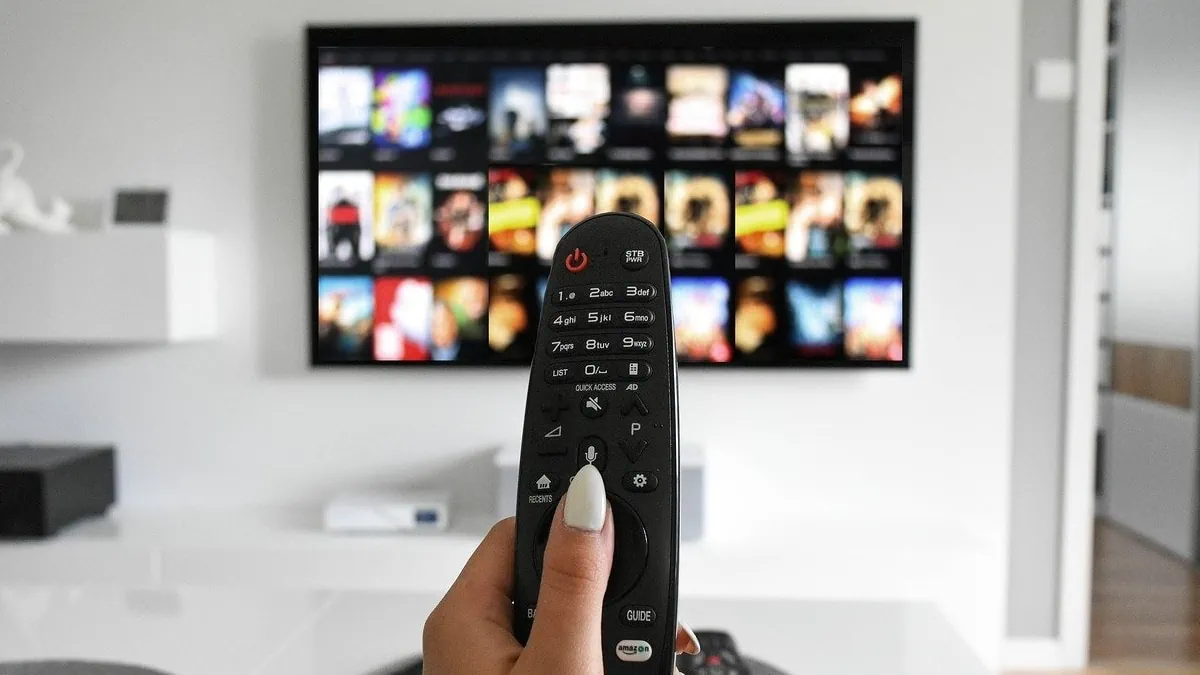 PLANES DE TV